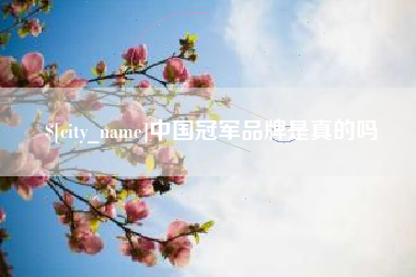黔西中国冠军品牌是真的吗