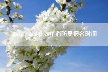 黔西2020年消防员报名时间