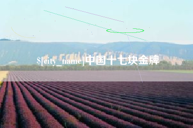 黔西中国十七块金牌