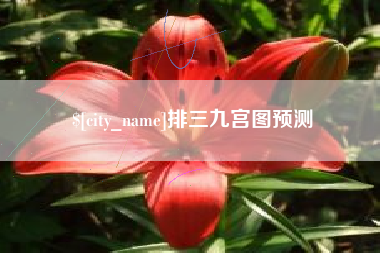 黔西排三九宫图预测