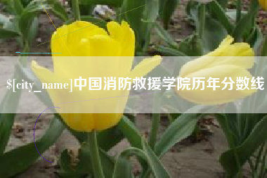 黔西中国消防救援学院历年分数线