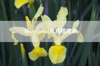 黔西九宫格优点