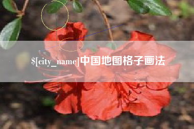 黔西中国地图格子画法