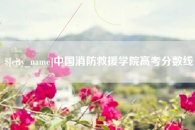 黔西中国消防救援学院高考分数线