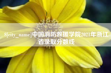 黔西中国消防救援学院2021年浙江省录取分数线