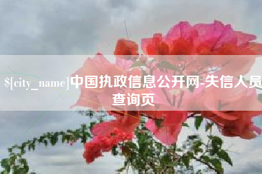 黔西中国执政信息公开网-失信人员查询页
