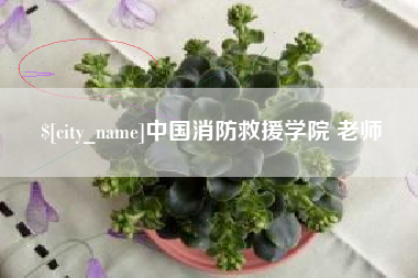 黔西中国消防救援学院 老师