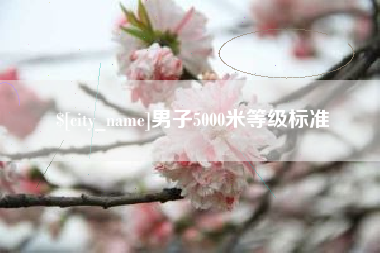 黔西男子5000米等级标准