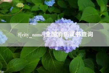 黔西全国消防证书查询