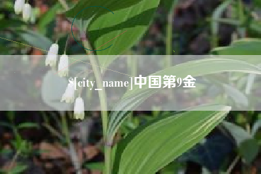 黔西中国第9金