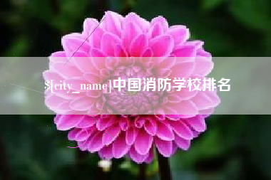 黔西中国消防学校排名
