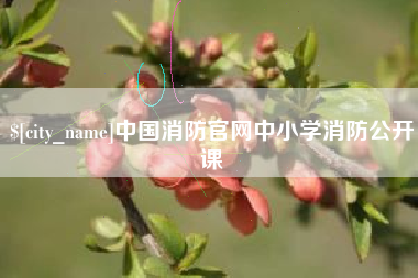 黔西中国消防官网中小学消防公开课