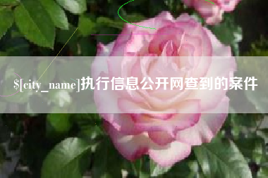 黔西执行信息公开网查到的案件