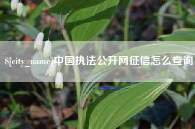 黔西中国执法公开网征信怎么查询