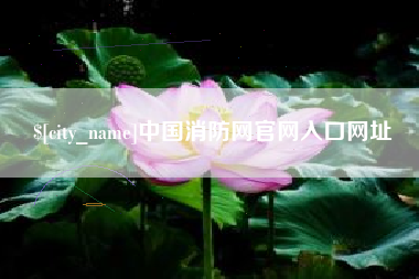 黔西中国消防网官网入口网址