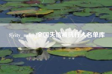 黔西全国失信被执行人名单库