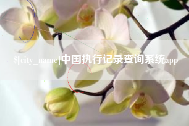 黔西中国执行记录查询系统app