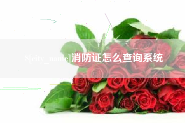 黔西消防证怎么查询系统