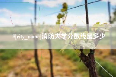 黔西消防大学分数线是多少