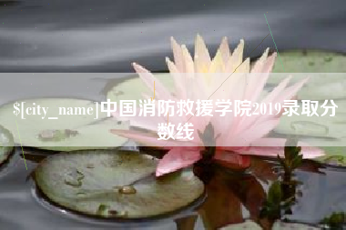 黔西中国消防救援学院2019录取分数线