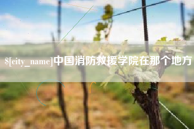 黔西中国消防救援学院在那个地方