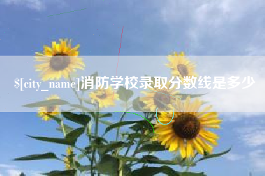 黔西消防学校录取分数线是多少