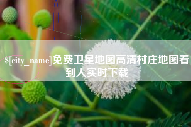 黔西免费卫星地图高清村庄地图看到人实时下载