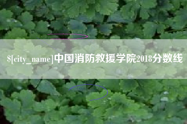 黔西中国消防救援学院2018分数线