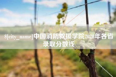 黔西中国消防救援学院2020年各省录取分数线