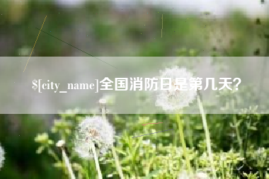 黔西全国消防日是第几天？