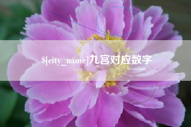 黔西九宫对应数字