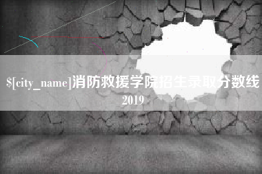 黔西消防救援学院招生录取分数线2019