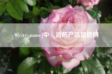 黔西中囯消防产品信息网