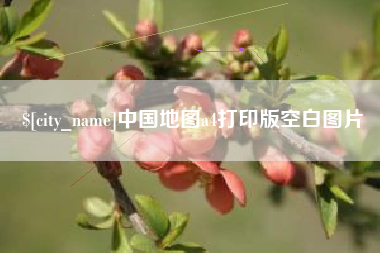 黔西中国地图a4打印版空白图片