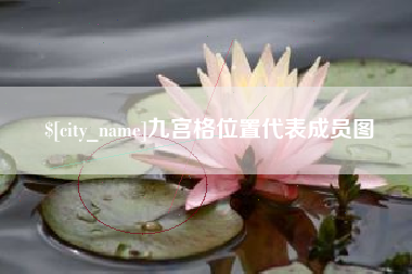 黔西九宫格位置代表成员图