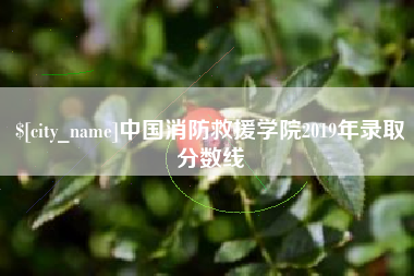 黔西中国消防救援学院2019年录取分数线