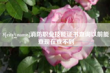 黔西消防职业技能证书查询以前能查现在查不到