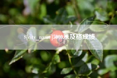 黔西5000米及格成绩