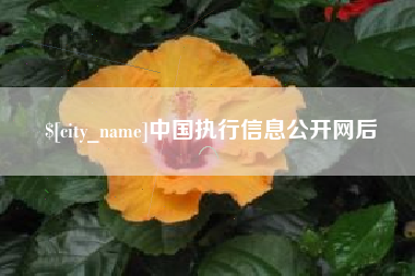 黔西中国执行信息公开网后