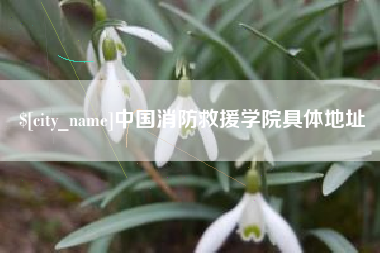黔西中国消防救援学院具体地址