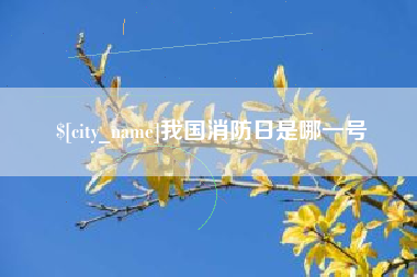 黔西我国消防日是哪一号