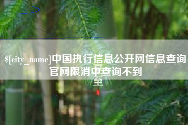 黔西中国执行信息公开网信息查询官网限消中查询不到