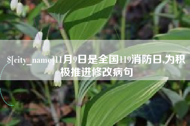 黔西11月9日是全国119消防日,为积极推进修改病句