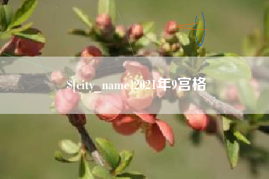 黔西2021年9宫格