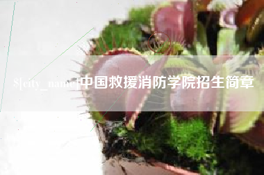 黔西中国救援消防学院招生简章