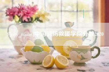 黔西中国消防救援学院分数2020