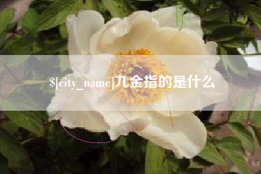 黔西九金指的是什么