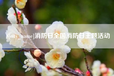 黔西消防日全国消防日主题活动