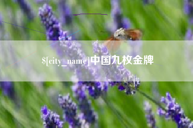 黔西中国九枚金牌
