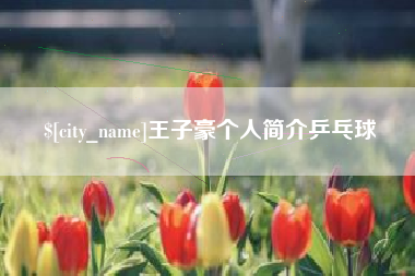 黔西王子豪个人简介乒乓球